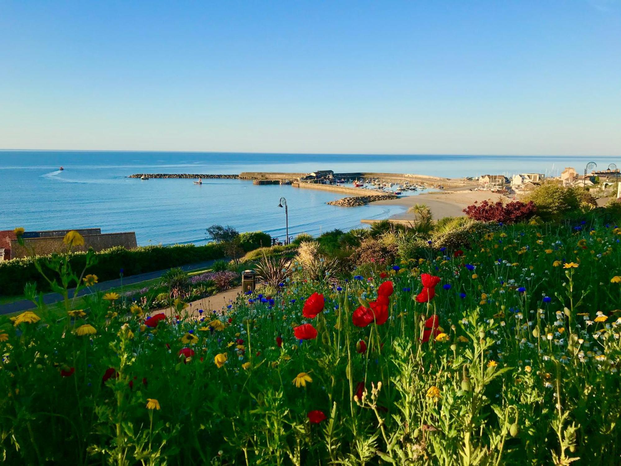 Lyme Regis Renovated Period Seaside Flat Apartment Екстериор снимка